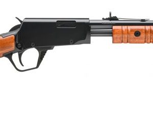 ROSSI GALLERY 22WMR BL/WD 20" 12+1